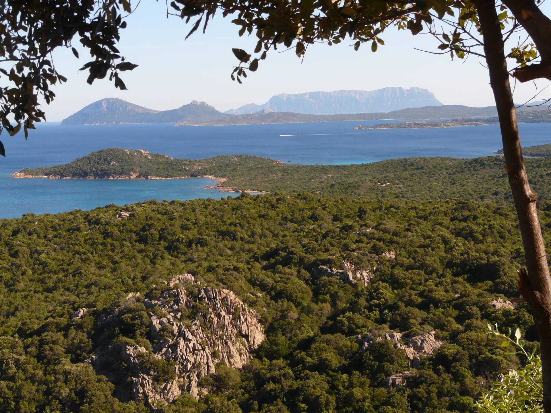Olbia